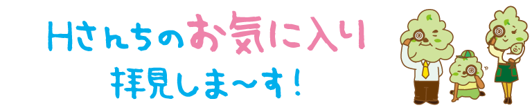 Hさん家のお気に入りPOINTをご紹介！