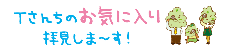 Tさん家のお気に入りPOINTをご紹介！